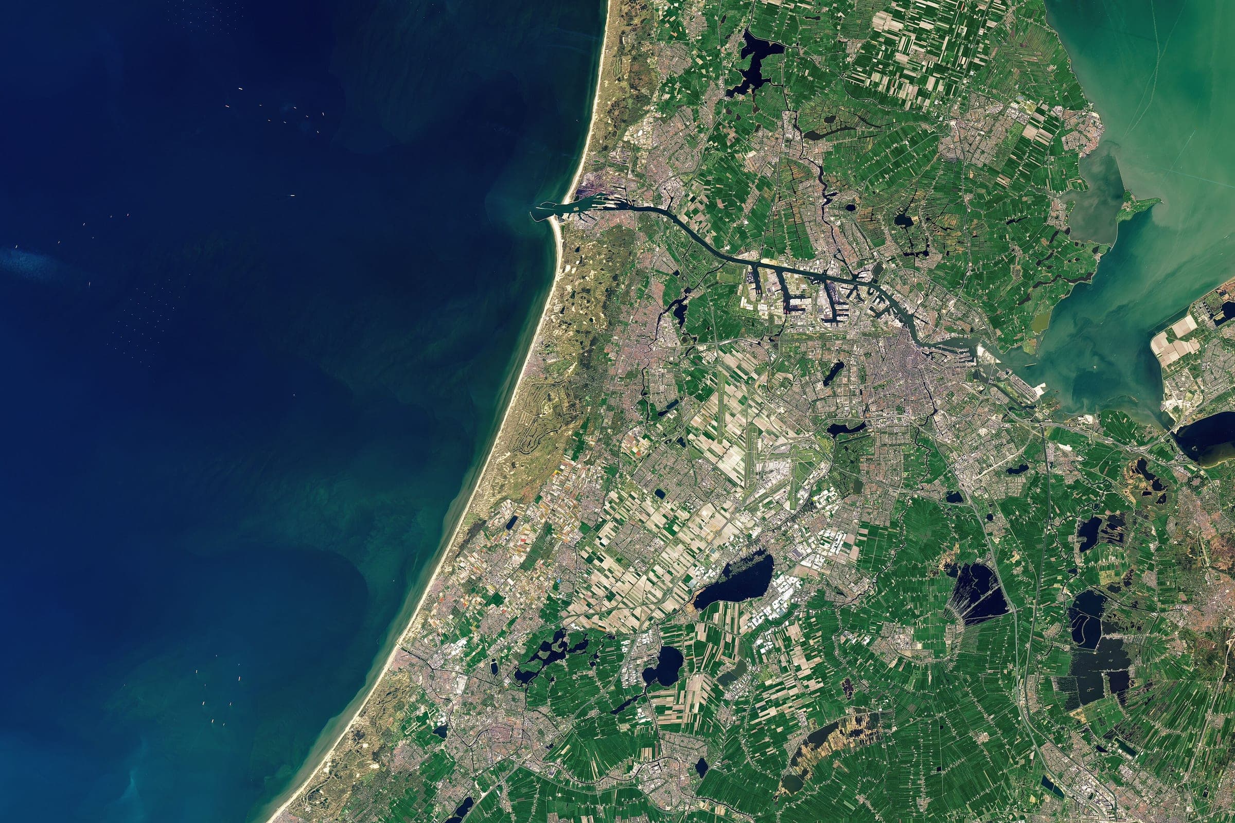 The bulb fields around Lisse in flower, laid out as narrow coloured strips on the reclaimed sand between Haarlem and Leiden. Landsat frame, 30 metres per pixel.