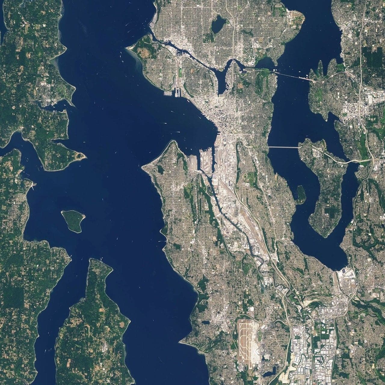 Seattle on the isthmus between Puget Sound and Lake Washington, the two water bodies squeezing the city into a north–south strip. Landsat frame, 30 metres per pixel.